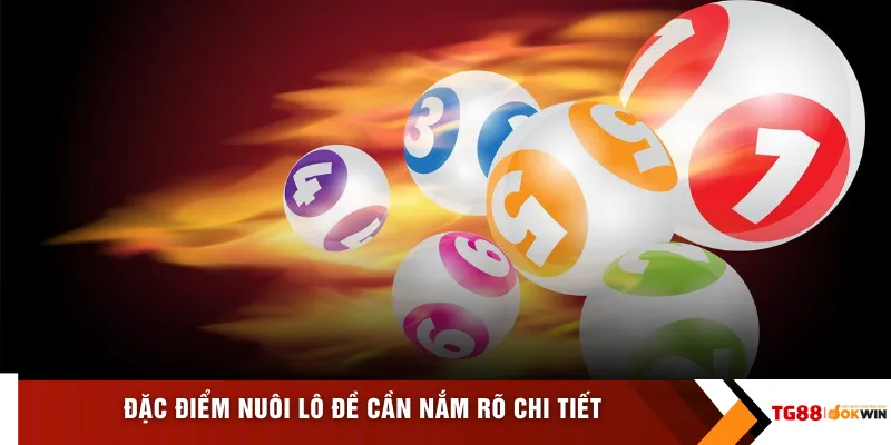 Đặc điểm nuôi lô đề cần nắm rõ chi tiết 