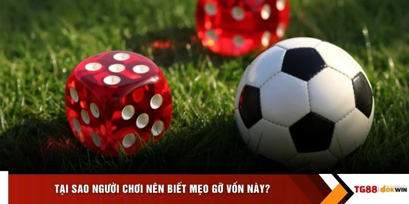 Tại sao người chơi nên biết mẹo gỡ vốn này?